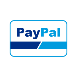 Paypal ICON - Brick Education